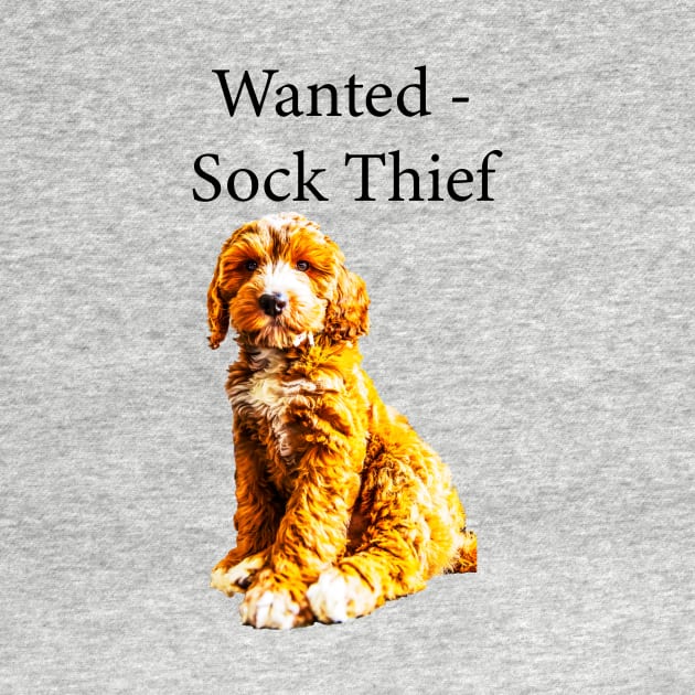 Wanted - Sock Thief by tommysphotos